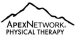 apex logo (1)